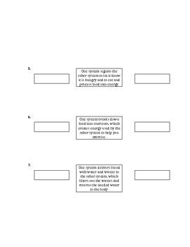 Interactions between Human Body Systems by Science NGSS | TPT