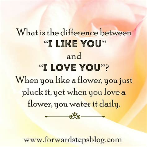 I like you vs I love you http://www.forwardstepsblog.com | Life lesson quotes, When you love, My ...