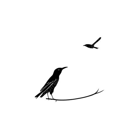 Silhouette Bird Transparent Background, Bird, Silhouette, Background PNG Transparent Image and ...