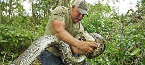 "Conservationist narrowly escapes giant anaconda attack: A shocking ...