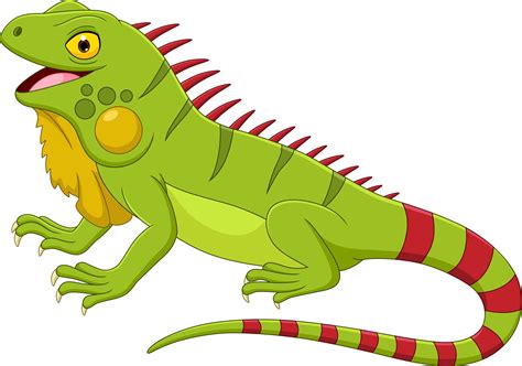 Iguana Vector Art, Icons, and Graphics for Free Download