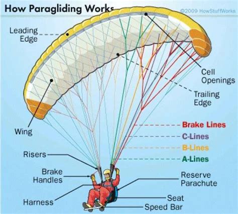 Paragliding In Bir Billing: All You Need To Know Before You Do It In 2022