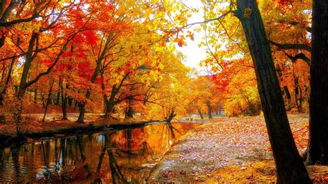 Fall Leaves Wallpaper HD (62+ images)