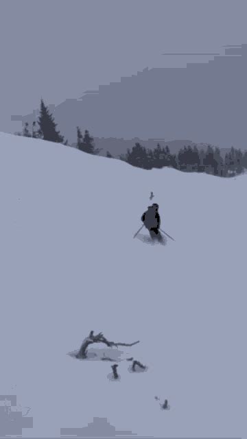 Skiing GIF - Skiing - Discover & Share GIFs