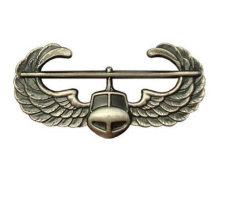 Army Badge Air Assault Wings