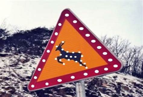 POSCO DX, National Parks to Develop Roadkill Prevention System | Be Korea-savvy