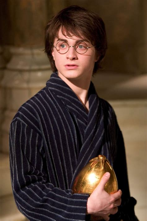 Harry with the golden egg — Harry Potter Fan Zone