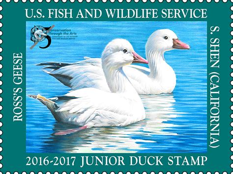 Junior Duck Stamp 2016-2017 | FWS.gov