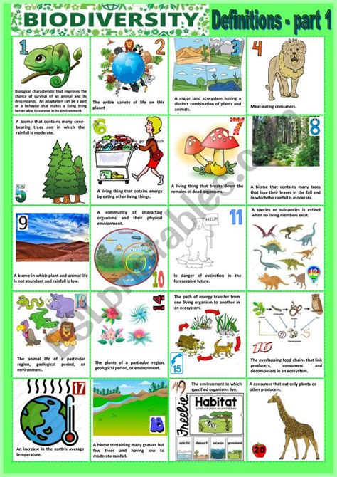 Biodiversity Sheet