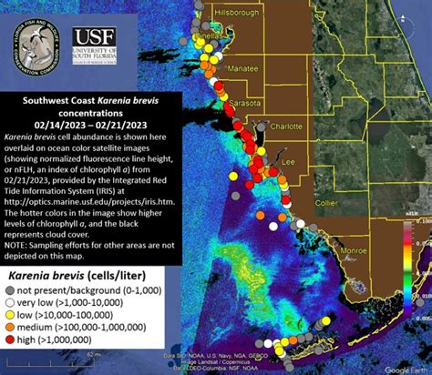 Red tide is back in Pinellas County — and worse in Sarasota, Manatee ...