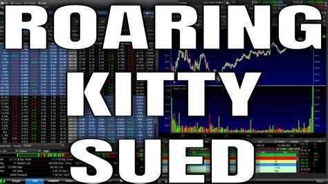 ROARING KITTY GETS SUED FOR SECURITIES FRAUD FROM THE REDDIT ...