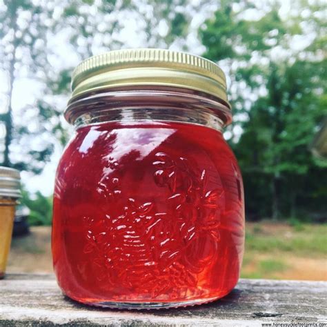 How to Make Homemade Kudzu Jelly - Honeysuckle Footprints