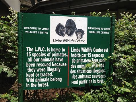 Limbe Wildlife Center | The Limbe Wildlife Centre (LWC), a w… | Flickr