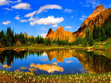 Download Nature Reflection HD Wallpaper