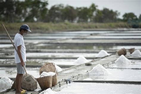 Dasol Salt Farm - See Pangasinan