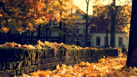 Autumn in the city - Autumn Photo (35392312) - Fanpop