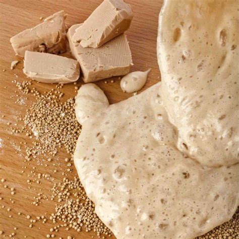 Yeast | Baking Ingredients | BAKERpedia