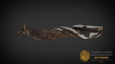 Columella - 3D model by Florida Public Archaeology Network (@fpan) [38ab1eb] - Sketchfab