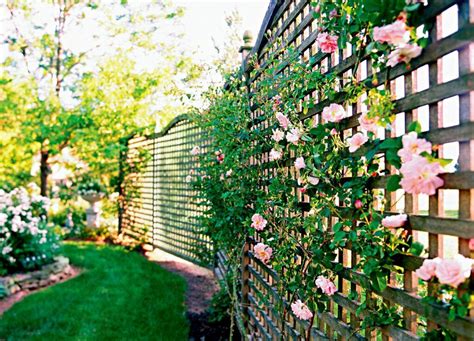 Creative Lattice Fence Ideas To Decorate Your Exterior Privacy Fence Landscaping, Privacy Fence ...