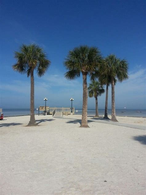 Pine Island (Spring Hill) Florida