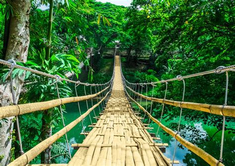 The 10 Best Bamboo Hanging Bridge Sevilla Tours & Tickets 2020 - Bohol | Viator