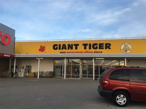 Giant Tiger - 560 Exmouth St, Sarnia, ON N7T 5P5, Canada