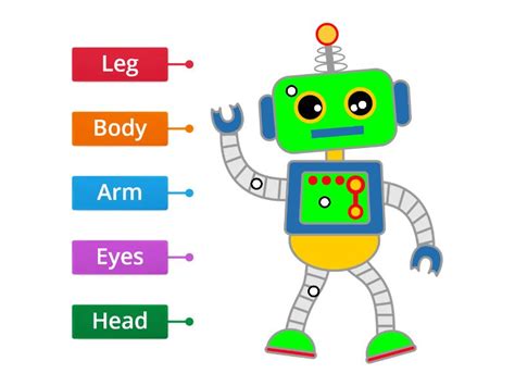 THE ROBOT - BODY PARTS (2) - Labelled diagram