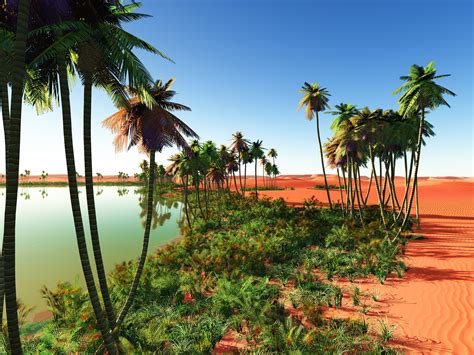 Moroccan Oasis #morocco #naturelovers #desert | Film rio, Etiopia, Storytelling