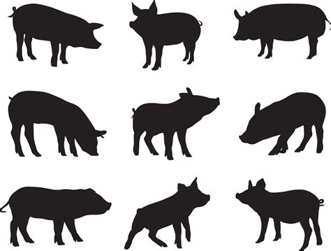 pig silhouette set 15826973 Vector Art at Vecteezy