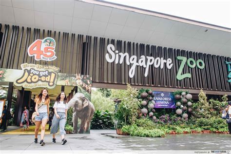 Singapore Zoo, River Safari, and Jurong Bird Park Have 1-for-1 Offers To Jio Your Potential Date ...