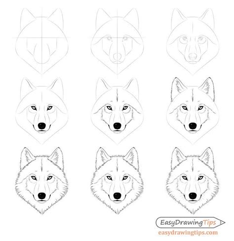 How to Draw a Wolf Face & Head Step by Step - EasyDrawingTips ...