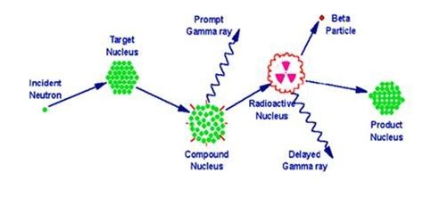 Diagram illustrating the process of neutron capture by a target nucleus ...