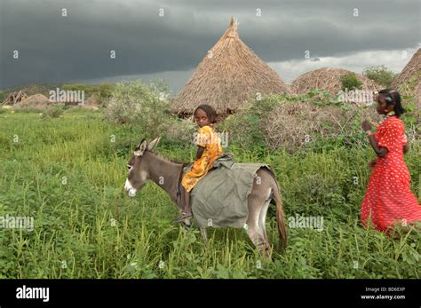 Aifa Aifa stands together with her new donkey that she chose at the bustling Thursday livestock ...