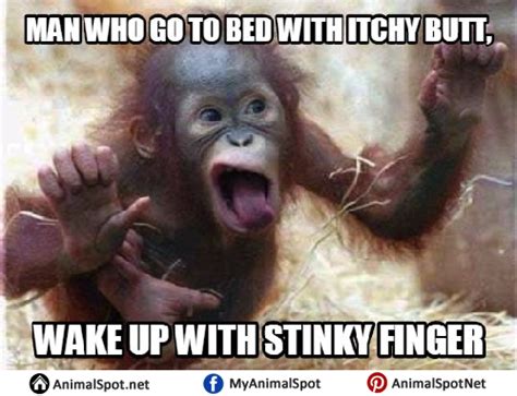 Creepy Monkey Meme