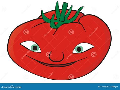 Mr. Tomato stock vector. Illustration of single, illustrated - 13755253