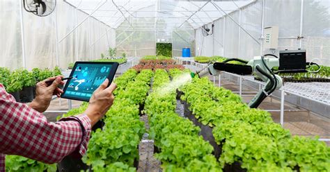 Smart Farming Technologies: Sowing Food Security in the 21st Century