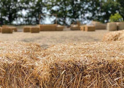 Premium Photo | Hay in a bale in a sunny day closeup Food product for ...