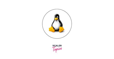 Features of Linux Operating System| Scaler Topics