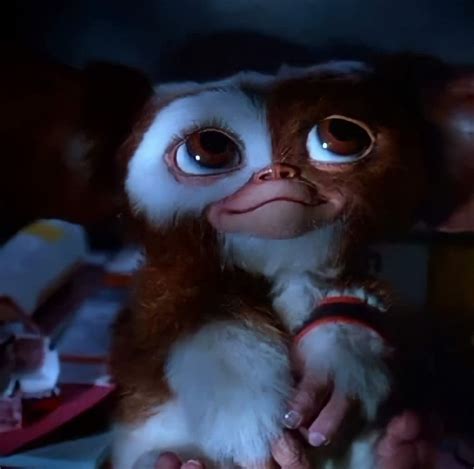 Gremlins gizmo hand puppet replica replica movie prop – Artofit