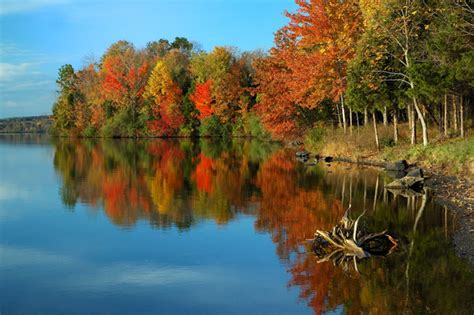 MUST SEE: Bucks County Fall Foliage Guide 2021 - LevittownNow.com