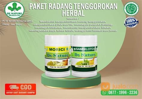 Obat Panas Dalam Radang Tenggorokan Akut Atau Kronis Herbal Paling TOP di Kab. Cilacap, Jawa ...