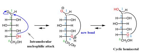 Carbohydrates - Structure and Classification - Chemistry Steps