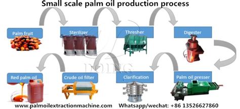 What is the process of making palm oil? palm oil processing process | Palm oil, Palm fruit oil, Oils