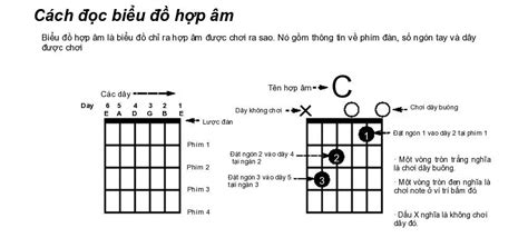 Bảng Hợp Âm Guitar Đầy Đủ, Cơ Bản Người Mới Chơi Nên Biết