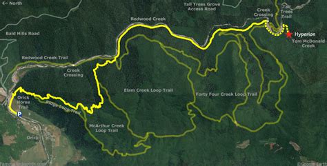 Hyperion Tree Alternate Directions - Famous Redwoods