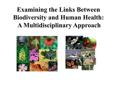 PPT - Examining the Links Between Biodiversity and Human Health: A Multidisciplinary Approach ...