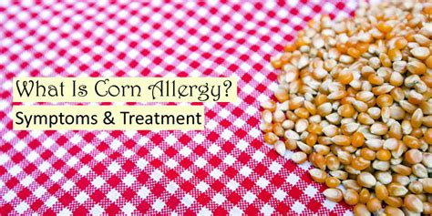 Corn Allergy - Corn Allergy Symptoms, Corn Allergy Treatment