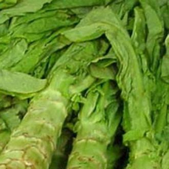 Celtuce