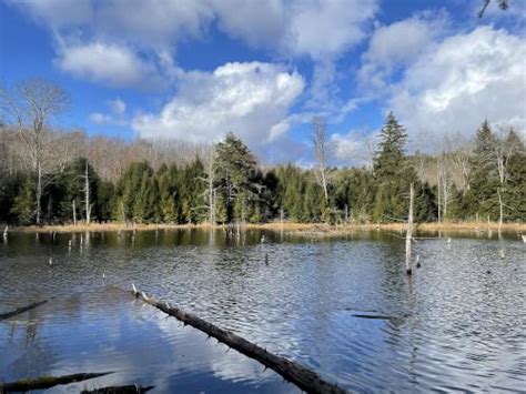 hike Hamlin Conservation Area NH