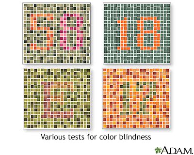 Color Blind Test, Test Your Color Vision, blind test - okgo.net